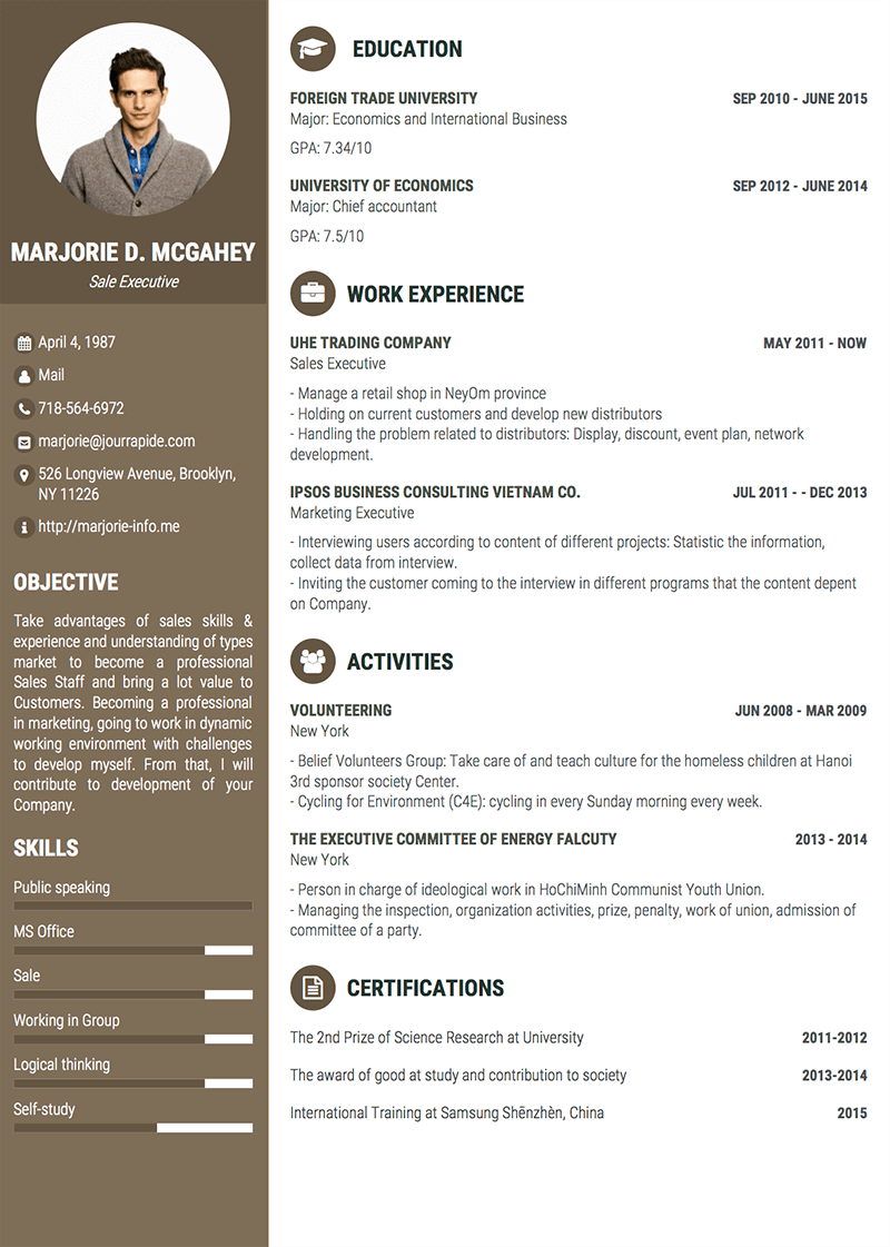 Professional CV Example